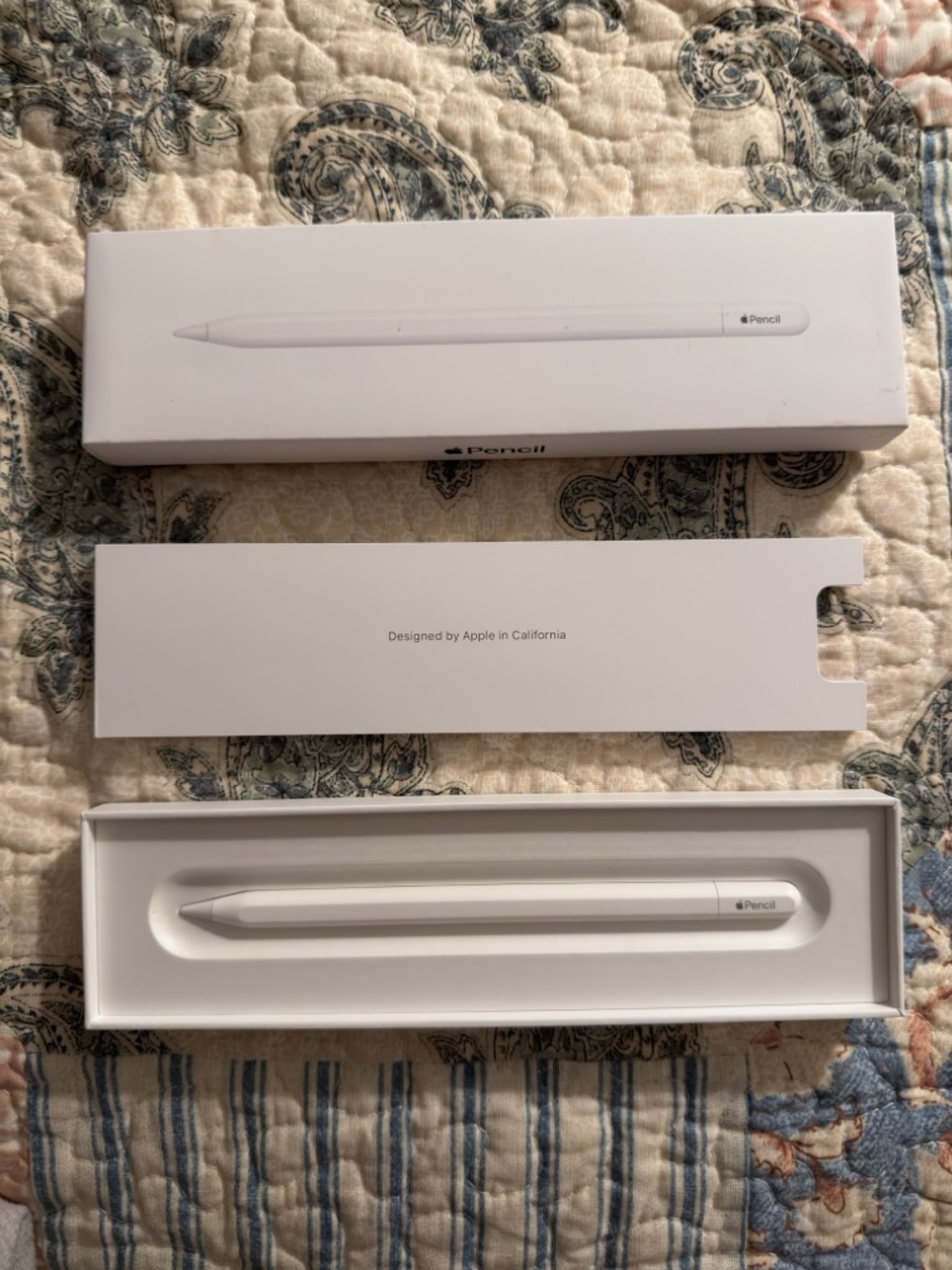 APPLE PENCIL USB-C